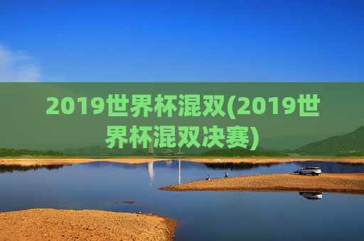 2019世界杯混双(2019世界杯混双决赛)