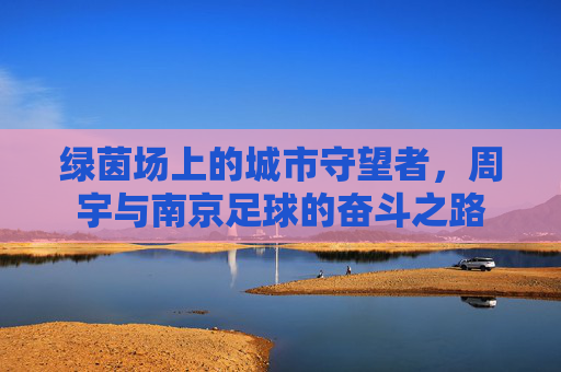 绿茵场上的城市守望者,周宇与南京足球的奋斗之路