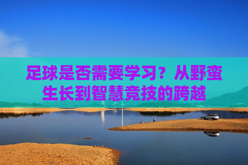 足球是否需要学习?从野蛮生长到智慧竞技的跨越