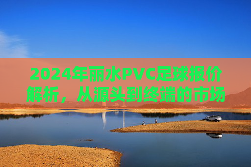 2024年丽水PVC足球报价解析,从源头到终端的市场行情