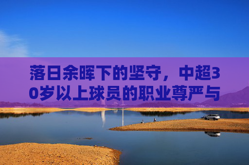 落日余晖下的坚守,中超30岁以上球员的职业尊严与时代背影
