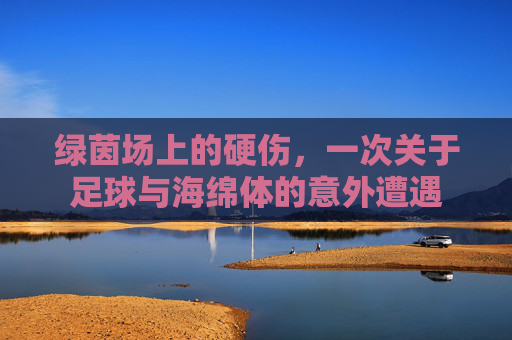 绿茵场上的硬伤,一次关于足球与海绵体的意外遭遇