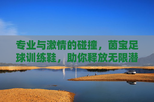 专业与激情的碰撞,茵宝足球训练鞋,助你释放无限潜能