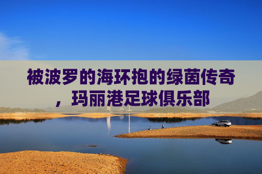 被波罗的海环抱的绿茵传奇,玛丽港足球俱乐部