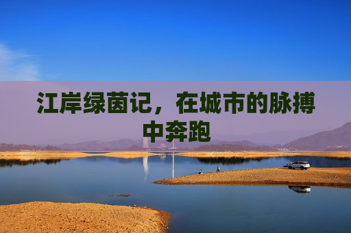 江岸绿茵记,在城市的脉搏中奔跑