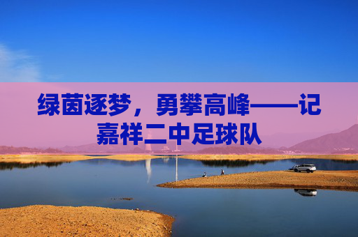 绿茵逐梦,勇攀高峰——记嘉祥二中足球队