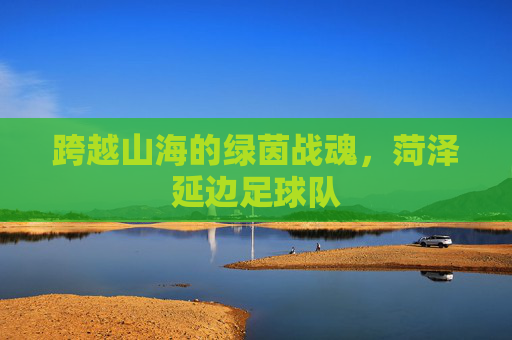 跨越山海的绿茵战魂,菏泽延边足球队