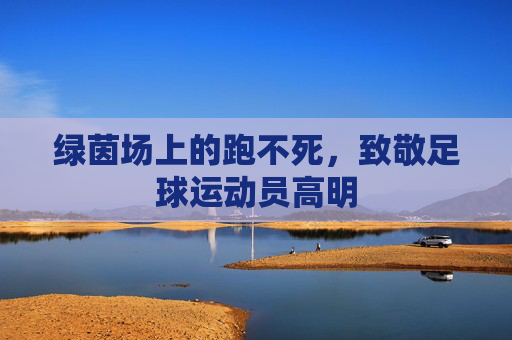绿茵场上的跑不死,致敬足球运动员高明