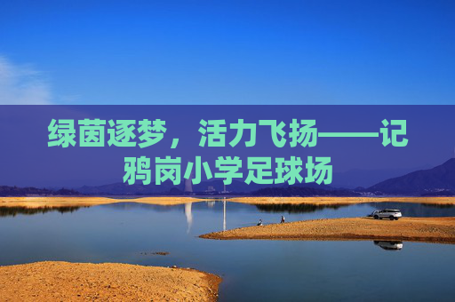 绿茵逐梦,活力飞扬——记鸦岗小学足球场