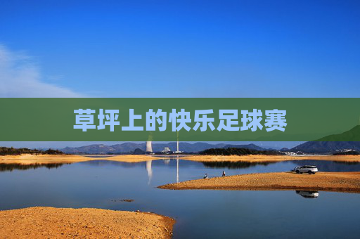 草坪上的快乐足球赛