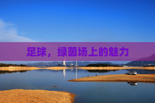 足球,绿茵场上的魅力