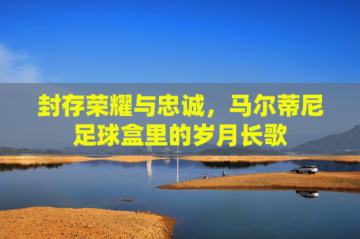 封存荣耀与忠诚,马尔蒂尼足球盒里的岁月长歌