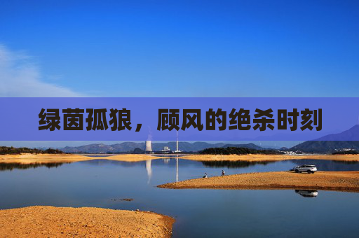 绿茵孤狼,顾风的绝杀时刻