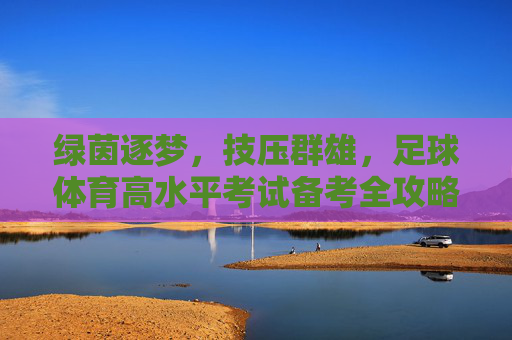 绿茵逐梦,技压群雄,足球体育高水平考试备考全攻略