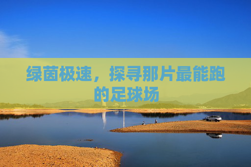 绿茵极速，探寻那片最能跑的足球场