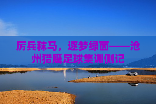 厉兵秣马,逐梦绿茵——沧州猎鹰足球集训侧记