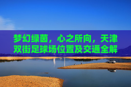 梦幻绿茵,心之所向,天津双街足球场位置及交通全解析