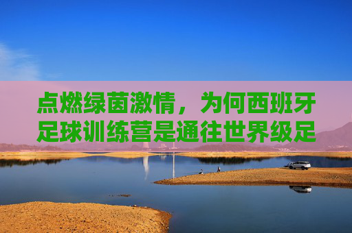 点燃绿茵激情,为何西班牙足球训练营是通往世界级足球殿堂的必经之路