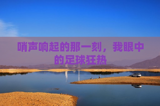 哨声响起的那一刻，我眼中的足球狂热