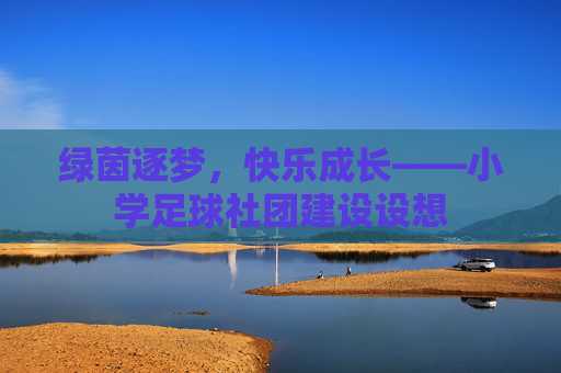 绿茵逐梦,快乐成长——小学足球社团建设设想