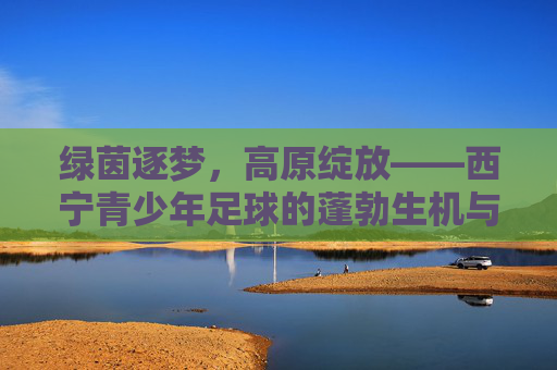 绿茵逐梦,高原绽放——西宁青少年足球的蓬勃生机与未来展望