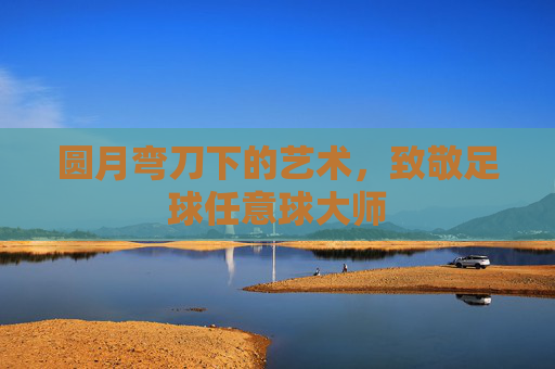 圆月弯刀下的艺术,致敬足球任意球大师