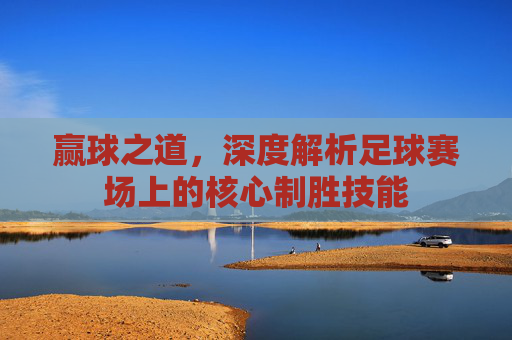 赢球之道,深度解析足球赛场上的核心制胜技能