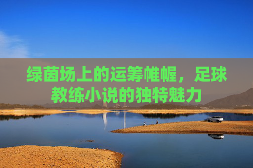 绿茵场上的运筹帷幄,足球教练小说的独特魅力