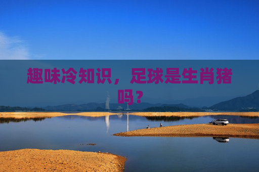 趣味冷知识,足球是生肖猪吗?