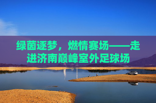 绿茵逐梦,燃情赛场——走进济南巅峰室外足球场