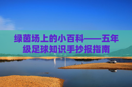 绿茵场上的小百科——五年级足球知识手抄报指南