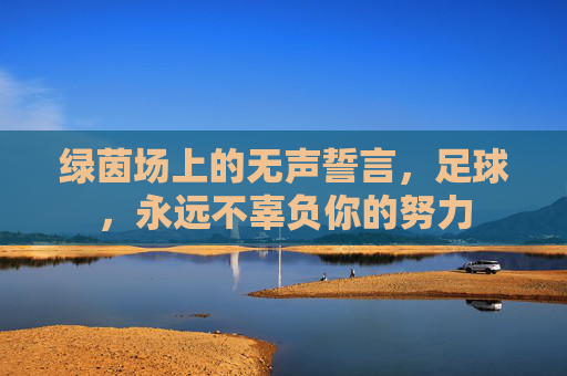 绿茵场上的无声誓言,足球,永远不辜负你的努力