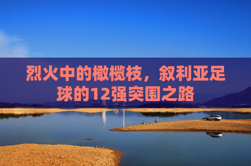烈火中的橄榄枝,叙利亚足球的12强突围之路