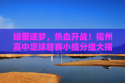 绿茵逐梦,热血开战!福州高中足球联赛小组分组大揭秘