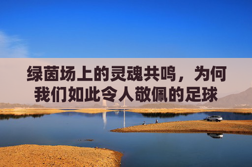 绿茵场上的灵魂共鸣,为何我们如此令人敬佩的足球