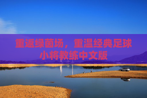 重返绿茵场,重温经典足球小将教练中文版