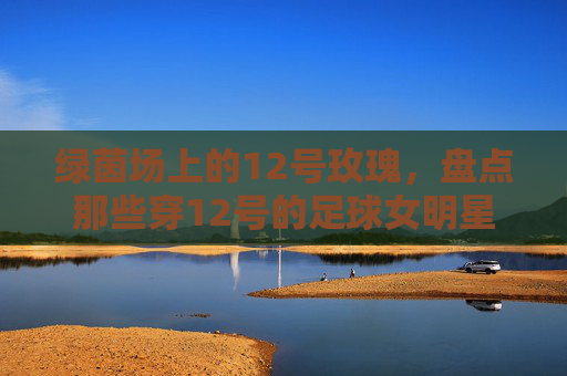 绿茵场上的12号玫瑰,盘点那些穿12号的足球女明星