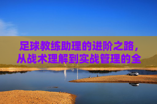 足球教练助理的进阶之路,从战术理解到实战管理的全方位训练