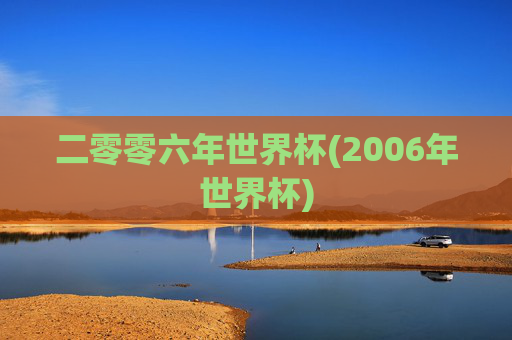 二零零六年世界杯(2006年世界杯)