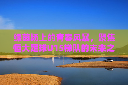 绿茵场上的青春风暴,聚焦恒大足球U15梯队的未来之路