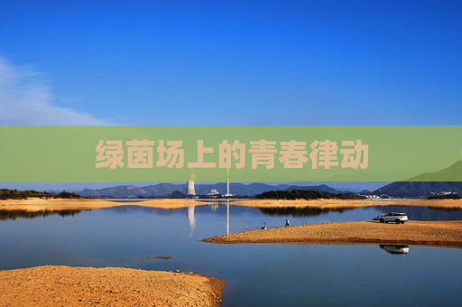 绿茵场上的青春律动