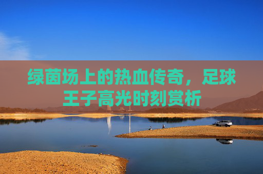 绿茵场上的热血传奇,足球王子高光时刻赏析