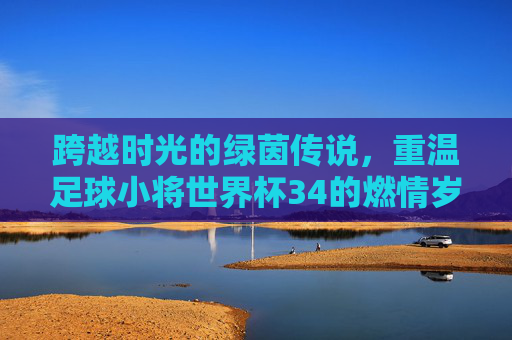 跨越时光的绿茵传说,重温足球小将世界杯34的燃情岁月