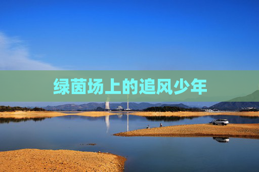 绿茵场上的追风少年
