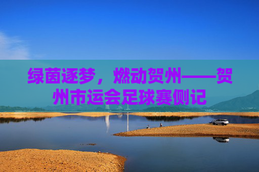 绿茵逐梦,燃动贺州——贺州市运会足球赛侧记