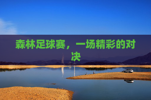 森林足球赛,一场精彩的对决
