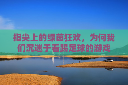 指尖上的绿茵狂欢,为何我们沉迷于看踢足球的游戏