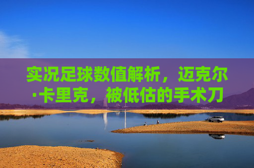 实况足球数值解析,迈克尔·卡里克,被低估的手术刀传球大师