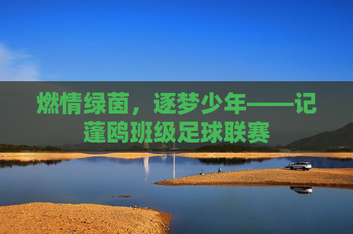 燃情绿茵,逐梦少年——记蓬鸥班级足球联赛