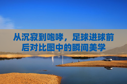 从沉寂到咆哮,足球进球前后对比图中的瞬间美学